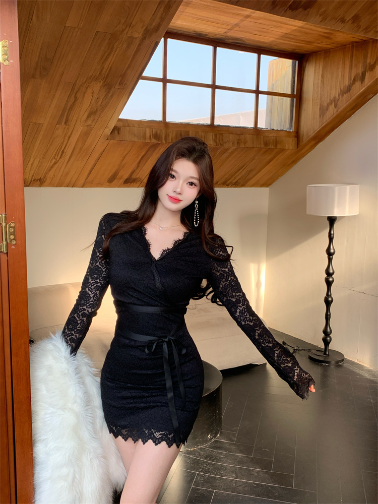 Elegant Lace Slim Fit Sexy Dress - Style 01857f